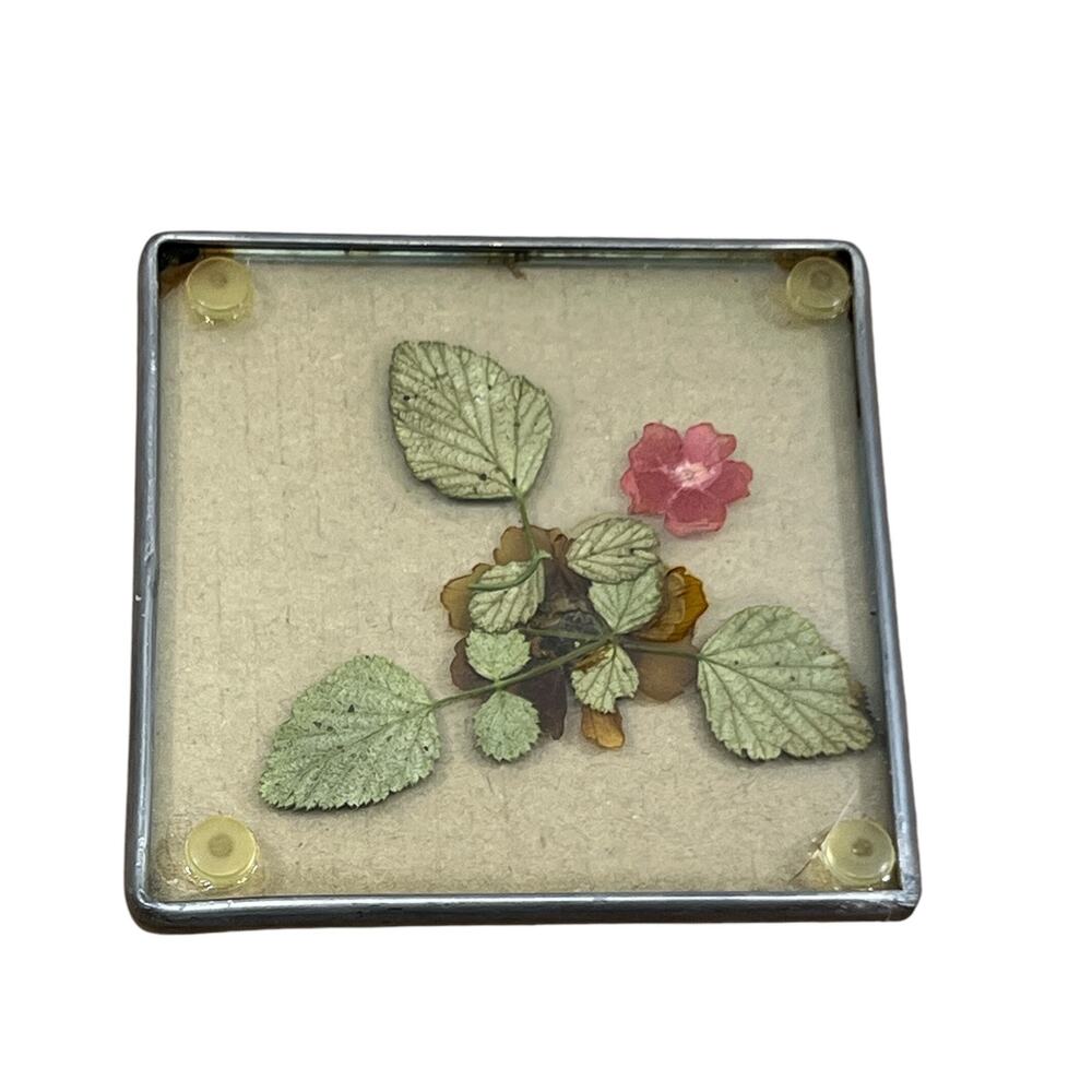 Real Pressed Flower UPSIDE Down Coaster Metal and Glass for Drinks Home Deco MCM